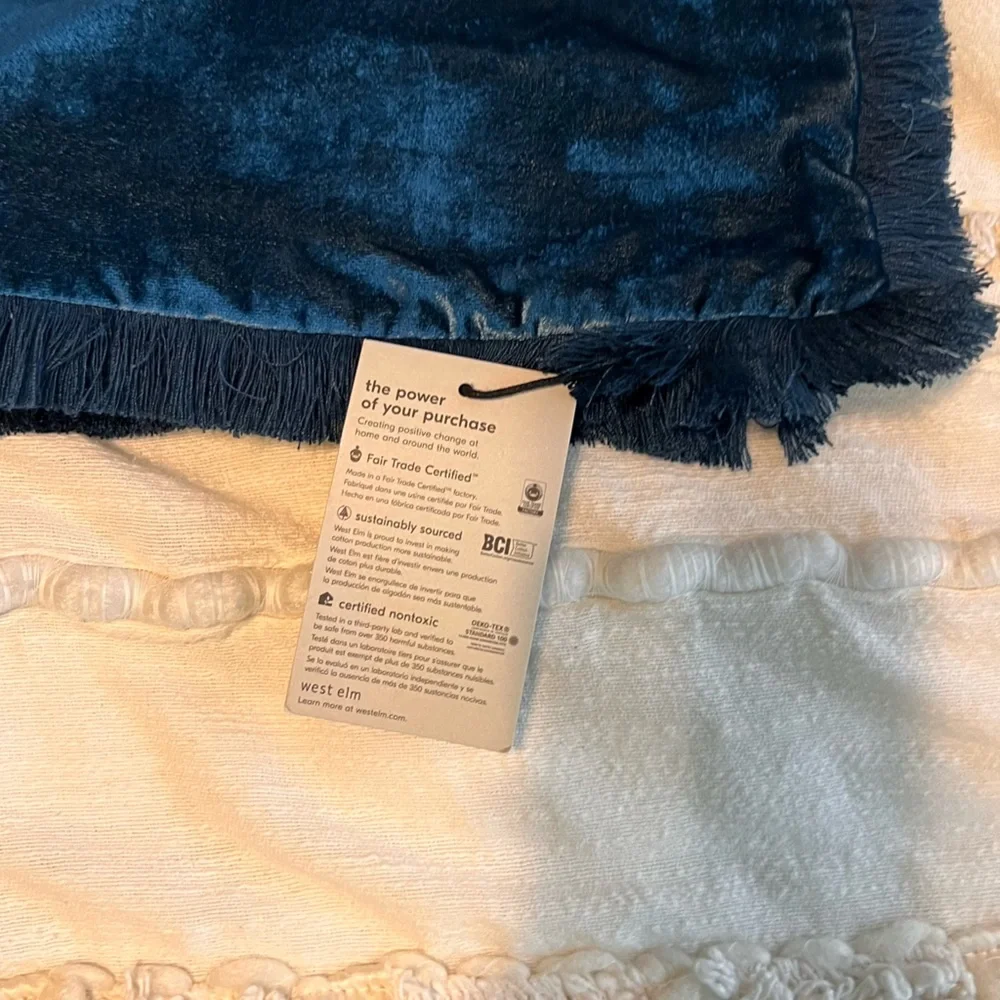 West Elm velvet fringe throw pillow cover regal blue NWT